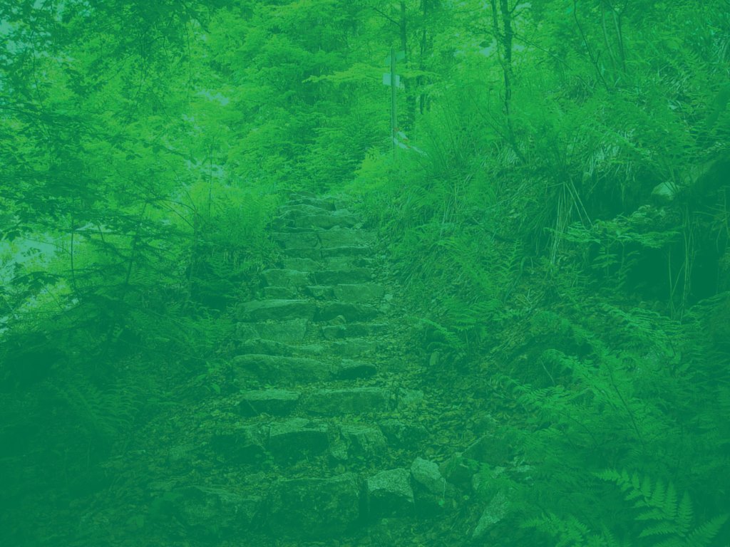 Fond Vert Ecolo Lasne